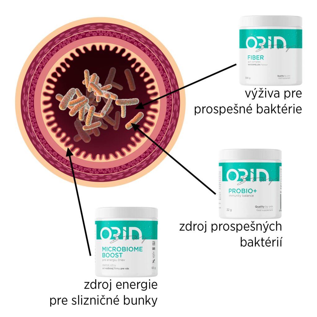 Výživové doplnky Orin pre zdravie čreva